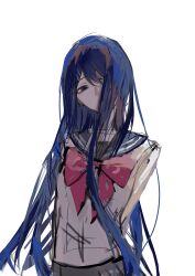 maizono sayaka from danganronpa: trigger happy havoc
