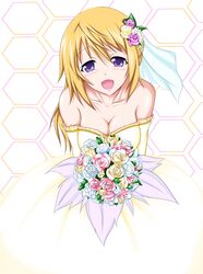 charlotte dunois from infinite stratos by tukiumisheriru