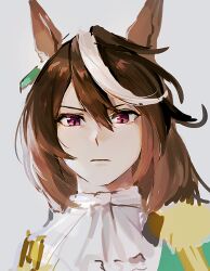 symboli rudolf (umamusume) from umamusume