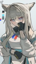 perlica (arknights) from arknights