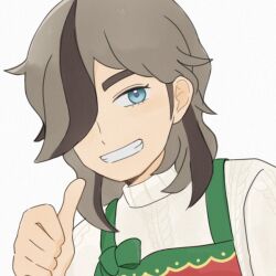 arven (pokemon) from pokemon