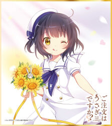jouga maya from gochuumon wa usagi desu ka?