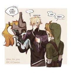 link from the legend of zelda by isa-415810