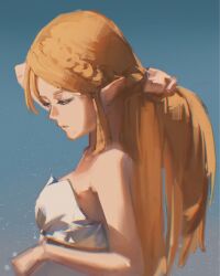 princess zelda from the legend of zelda