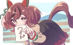 nice nature (umamusume) from umamusume