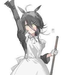 manhattan cafe (umamusume) from umamusume