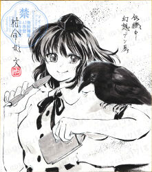 shameimaru aya from touhou
