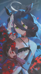 manhattan cafe (umamusume) from umamusume