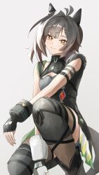 umamusume fan art