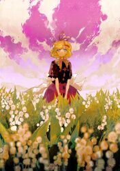 medicine melancholy from touhou