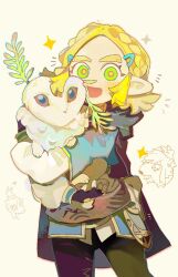 link from the legend of zelda