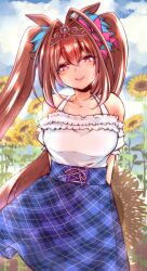 daiwa scarlet (umamusume) from umamusume