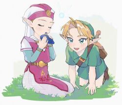 link from the legend of zelda by yamori (yamoooon21)
