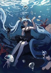 hatsune miku from shinkai shoujo (vocaloid)