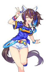 daitaku helios (umamusume) from umamusume