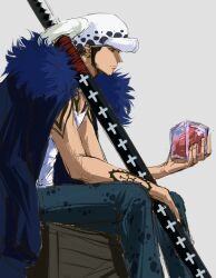 trafalgar law from one piece