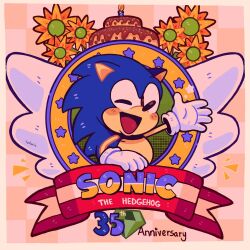 sonic the hedgehog from sonic (series)