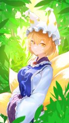 yakumo ran from touhou