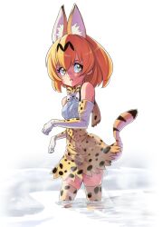 serval (kemono friends) from kemono friends by nukosann