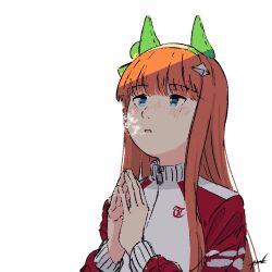 silence suzuka (umamusume) from umamusume
