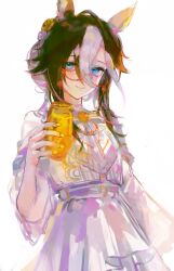 dream journey (reminder of dreamland) (umamusume) from umamusume