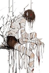 dazai osamu (bungou stray dogs) from bungou stray dogs