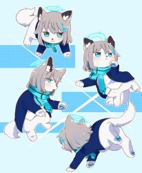 shiroko (blue archive) from blue archive