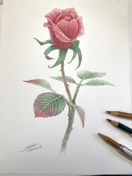 original fan art