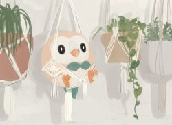 rowlet from pokemon