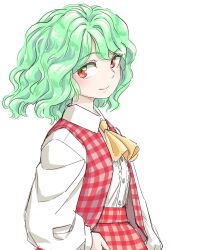 kazami yuuka from touhou by s-a-murai