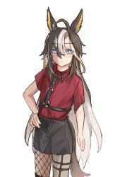 dream journey (reminder of dreamland) (umamusume) from umamusume