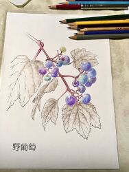 original fan art