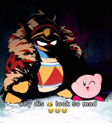 king dedede from kirby (series)