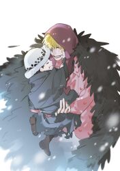 donquixote rocinante from one piece