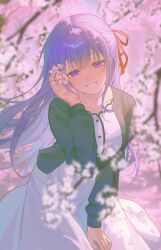 matou sakura from fate/stay night
