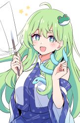 kochiya sanae from touhou