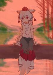 inubashiri momiji from touhou