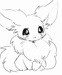 eevee from pokemon