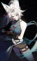 feixiao (honkai: star rail) from honkai: star rail