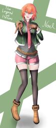 noel seeker from eiyuu densetsu