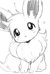 eevee from pokemon