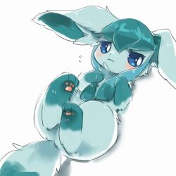 glaceon from pokemon