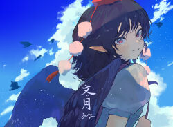 shameimaru aya from touhou