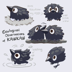 kawkaw (deltarune) from deltarune by garlica