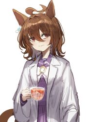 agnes tachyon (umamusume) from umamusume