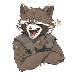 rocket raccoon from guardians of the galaxy