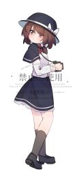 usami renko from touhou