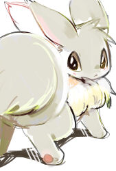eevee from pokemon