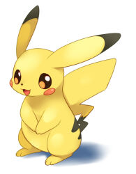 pikachu from pokemon