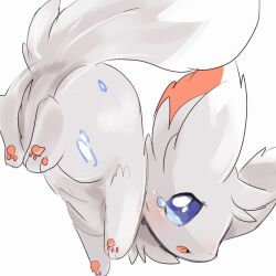minccino from pokemon